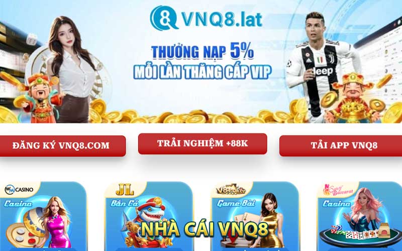 Nhà cái VNQ8